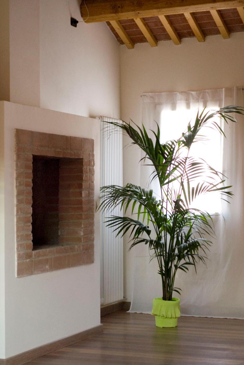 B&B Cittabella Cittadella Ngoại thất bức ảnh